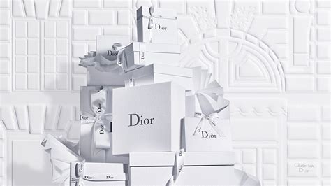 dior tw|dior official online store.